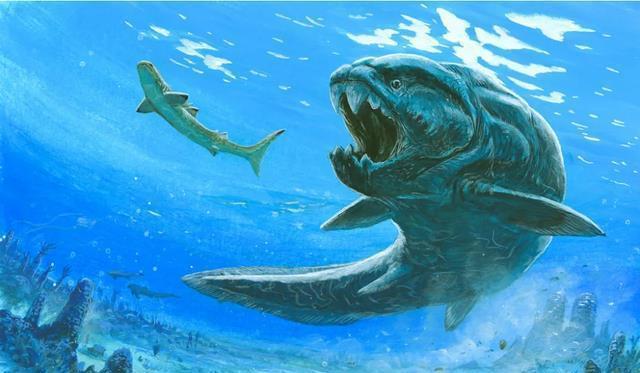 熱帶魚龍魚價格多少(熱帶魚龍魚價格多少錢一條)