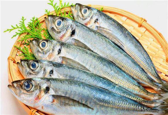 初春釣鯽魚用什么餌料用什么釣竿