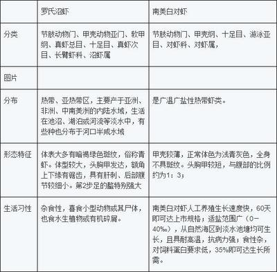 多大魚缸造景好：如何選擇合適的魚缸尺寸 多大魚缸造景好：如何選擇合適的魚缸尺寸 魚缸百科 第2張