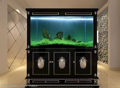 玻璃造型魚(yú)缸效果圖：尋找玻璃造型魚(yú)缸效果圖專業(yè)水族工程公司提供的設(shè)計(jì)和服務(wù)