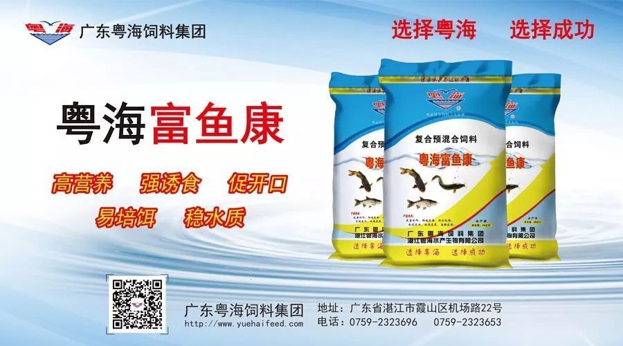 海老虎魚圖片(海老虎魚圖片大全大圖)