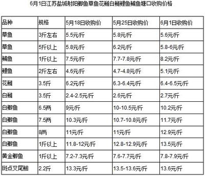 豬鼻龜是不是鱉(豬鼻龜是不是海龜)
