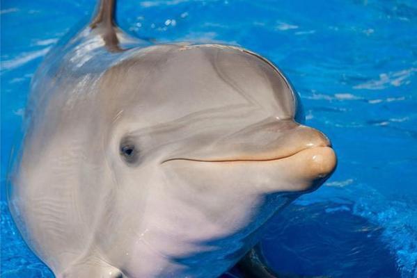 徐州大型魚缸定制廠家地址及電話(徐州做魚缸)