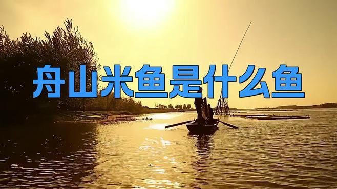 鮸魚和米魚的區(qū)別，米魚是什么魚