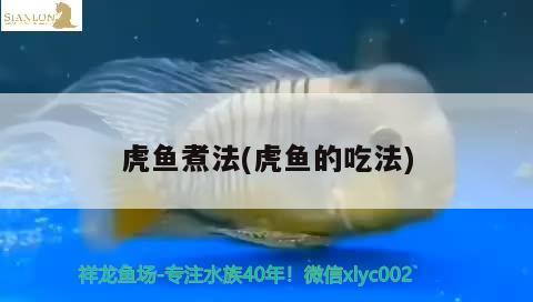 虎魚煮法(虎魚的吃法) 虎魚煮法(虎魚的吃法) 虎魚百科