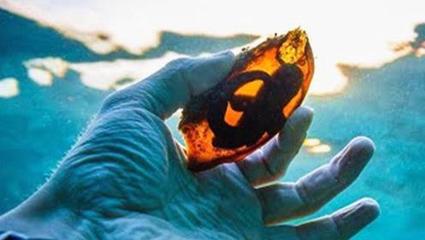 魚缸過濾器怎么拆開清洗圖解(魚缸過濾器怎么安裝圖示)
