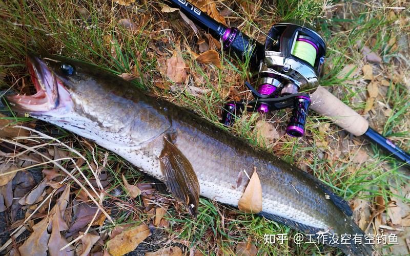 狂龍漁具最建議買(mǎi)的三個(gè)型號(hào)，2025年漁具品牌推薦top10