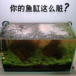 龍魚缸使用除藻劑的注意事項（在龍魚缸中使用除藻劑的種類、使用方法以及可能的風險）