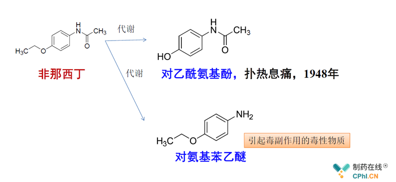泰金更新 泰金更新 魟魚百科 第2張