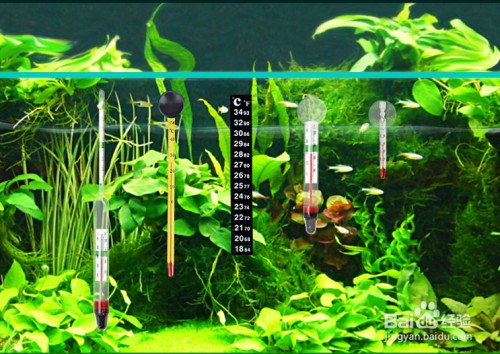 森森魚缸循環(huán)泵晚上自動(dòng)停