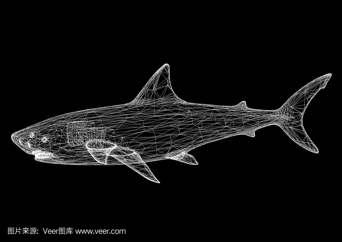 豬鼻龜能干養(yǎng)嗎視頻教程全集(豬鼻龜混養(yǎng)視頻)