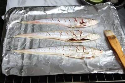 豬鼻龜深水還是淺水(豬鼻龜對水深有要求嗎) 豬鼻龜深水還是淺水(豬鼻龜對水深有要求嗎) 豬鼻龜百科 第2張
