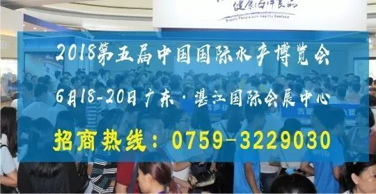 虎魚最佳水溫(虎魚適宜水溫)