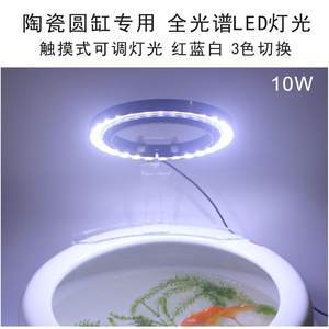 森森的網名 森森的網名 森森魚缸 第1張