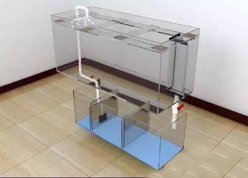 銀龍魚養(yǎng)殖方法和技巧(銀龍魚養(yǎng)殖方法及注意事項(xiàng))