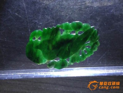 銀龍魚紅龍魚金龍魚(金龍魚紅龍)