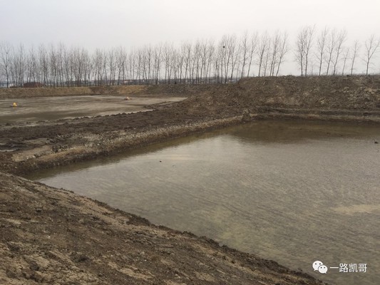 豬鼻龜能長多少斤啊視頻講解(豬鼻龜能長多少斤啊視頻講解圖片)