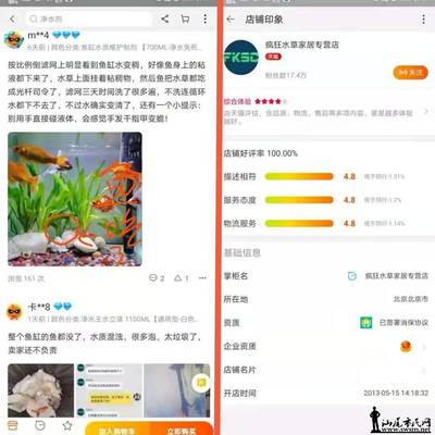 錦鯉池沒有過濾系統怎么辦(錦鯉池沒有過濾系統怎么辦呀)