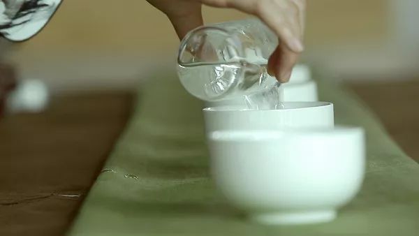 魟魚腸胃炎針哪里買：尋找適合治療魟魚腸胃炎的針劑時