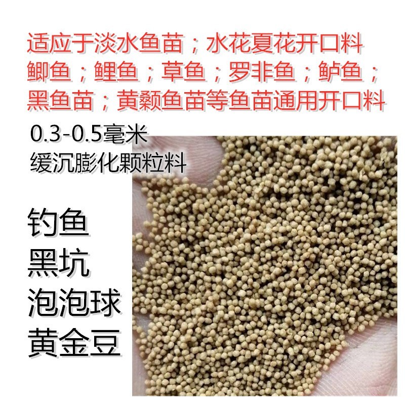 定做魚缸要多久完工：定做魚缸完工時間取決于多個因素