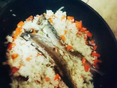 豬鼻龜的風水作用與功效視頻圖片(豬鼻龜的風水作用與功效視頻圖片欣賞)