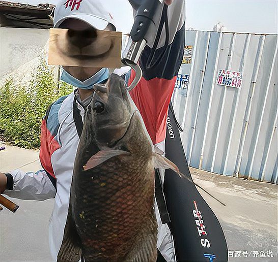 花地灣祥龍魚場的具體地址在哪里？