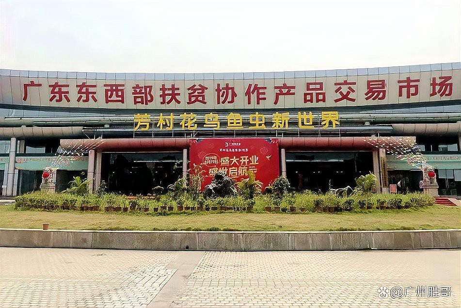 花地灣祥龍魚場的具體地址在哪里？