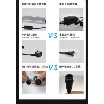 白金龍魚價格表大全(白金龍魚價格圖片)