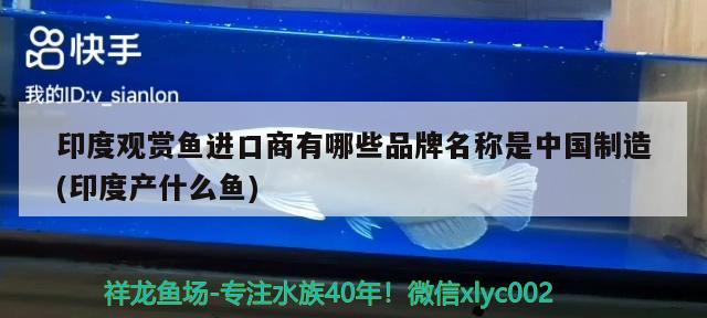 養龍魚用什么燈比較好呢(龍魚適合用什么燈)