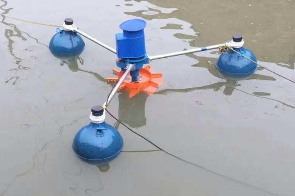 魚缸出水口和入水口距離多少合適呢(魚缸進水口距離缸底距離) 魚缸出水口和入水口距離多少合適呢(魚缸進水口距離缸底距離) 魟魚百科 第1張