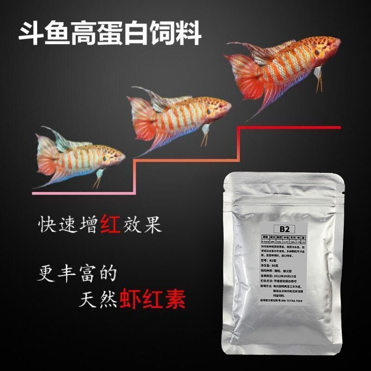 銀龍魚紅龍魚哪個好養(yǎng)些：銀龍魚和紅龍魚養(yǎng)殖難度對比