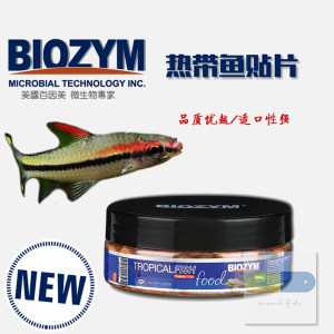 紅龍魚簡介：紅龍魚品種鑒別方法詳解紅龍魚繁殖技巧詳解