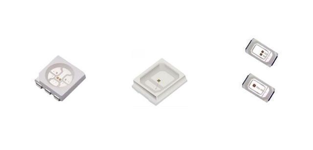 銀龍魚混養最佳搭配圖片大全欣賞視頻(銀龍魚混養怎么搭配)