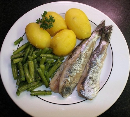 德國魚缸有什么品牌好用又實惠(德國進口魚缸品牌大全)