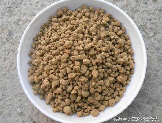 虎魚的功效與作用圖片欣賞(虎魚的圖片及價(jià)格) 虎魚的功效與作用圖片欣賞(虎魚的圖片及價(jià)格) 虎魚百科 第2張