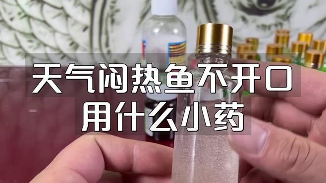 有哪些藥物可以幫助恢復魚的食欲？，魚不開口用什么小藥饞啥小藥饞啥小藥饞啥小藥饞啥攻略 有哪些藥物可以幫助恢復魚的食欲？，魚不開口用什么小藥饞啥小藥饞啥小藥饞啥小藥饞啥攻略 龍魚百科 第4張