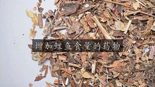 有哪些藥物可以幫助恢復魚的食欲？，魚不開口用什么小藥饞啥小藥饞啥小藥饞啥小藥饞啥攻略 有哪些藥物可以幫助恢復魚的食欲？，魚不開口用什么小藥饞啥小藥饞啥小藥饞啥小藥饞啥攻略 龍魚百科 第3張