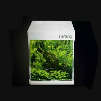 of魚(yú)缸什么牌子：魚(yú)缸品牌哪個(gè)牌子好