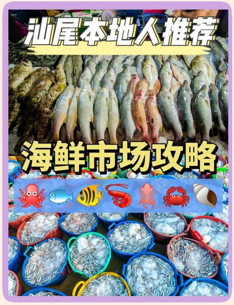 汕尾魚缸批發市場，汕尾水產品批發市場
