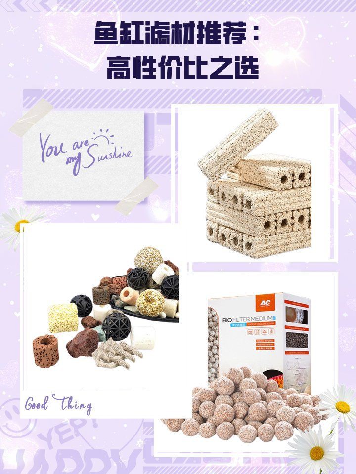 濾材最好的三個品牌，桃子有趣的lifestyle魚缸濾材品牌十大排名林曄