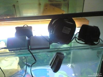 NEO魚缸搖空器怎么用：neo魚缸遙控器使用方法