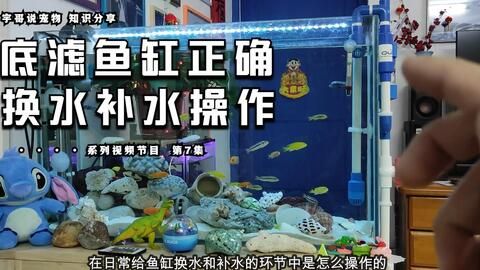 大魚缸漏水怎么補水視頻:大魚缸漏水怎么補水怎么補水? 魚缸百科 第1張 大魚缸漏水怎么補水視頻:大魚缸漏水怎么補水怎么補水? 大魚缸漏水怎么補水視頻:大魚缸漏水怎么補水怎么補水? 魚缸百科 第1張