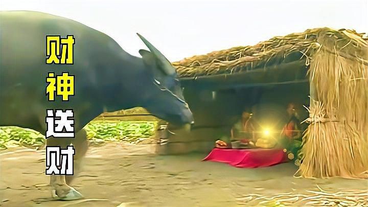 免費(fèi)財(cái)神爺視頻素材，免費(fèi)財(cái)神爺視頻素材資源
