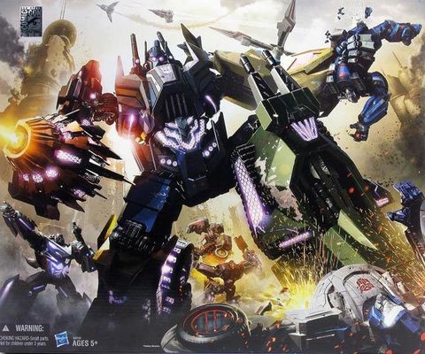 鰕虎魚的功效與作用(虎魚的功效與作用視頻)