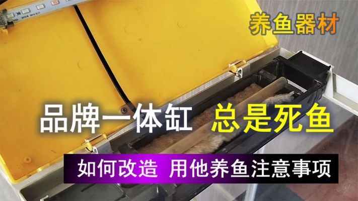 淮北市相山區(qū)大自然水族館（淮北市相山區(qū)大自然水族館電話）