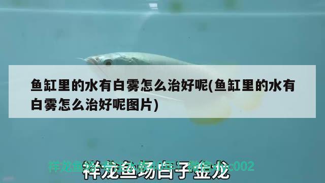 大魚缸漏水怎么補好:以上方法可以根據(jù)自己的實際情況采用以上方法 魚缸百科 第2張 大魚缸漏水怎么補好:以上方法可以根據(jù)自己的實際情況采用以上方法 大魚缸漏水怎么補好:以上方法可以根據(jù)自己的實際情況采用以上方法 魚缸百科 第2張