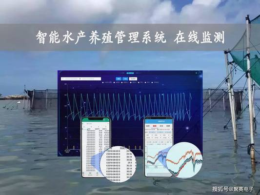 龍魚在魚缸里立著是什么原因(龍魚躺在缸底)