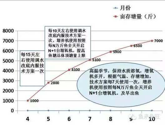 紅龍魚養(yǎng)多久成年才能繁殖：如何判斷紅龍魚是否性成熟