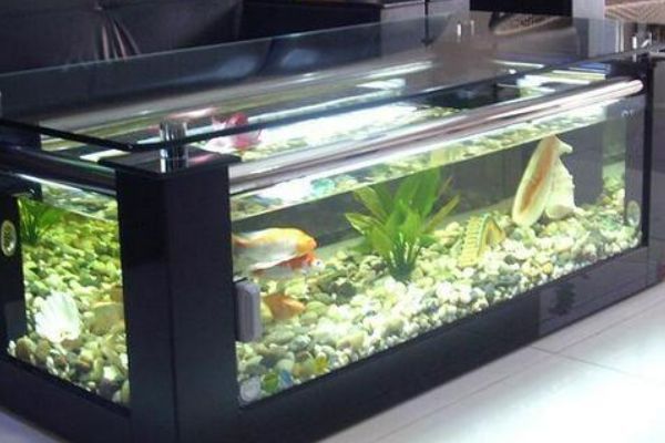 森森迷你魚缸（森森迷你魚缸300厚度）