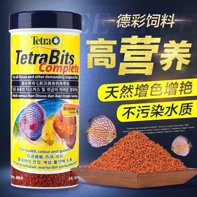 豬鼻龜多大可以下蛋了(豬鼻龜怎么下蛋)
